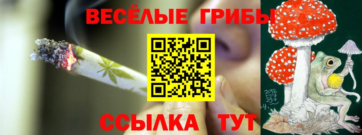 Псилоцибиновые грибы Magic Shrooms Дюртюли